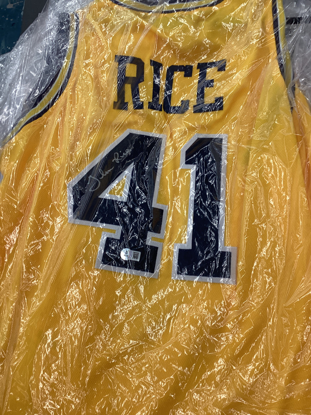 Signed Jersey - Rice - Michigan - #41