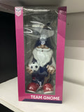 USA Team Gnome